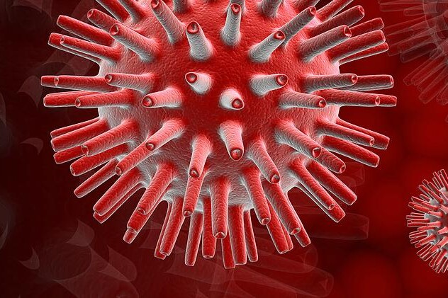 Herpes virus