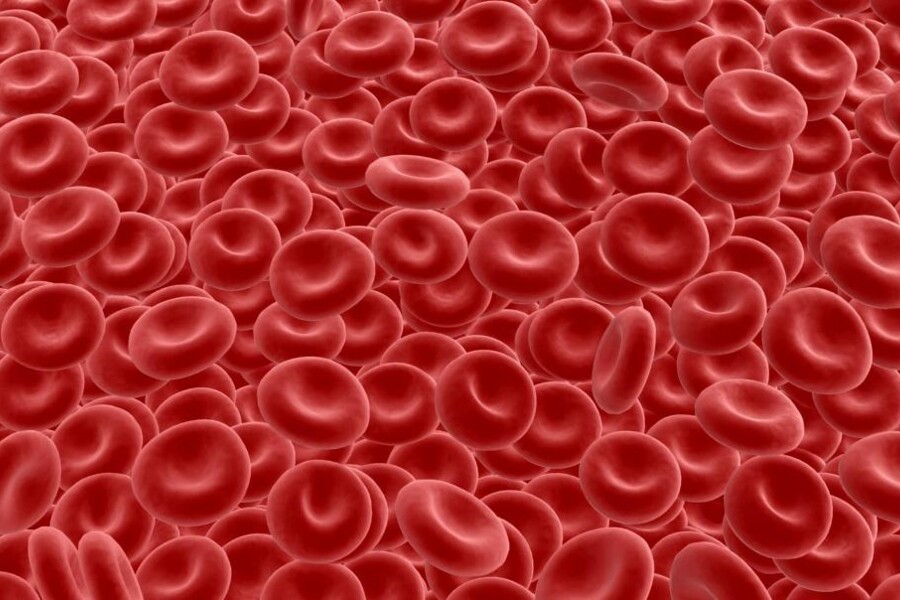 Dědičná sférocytóza