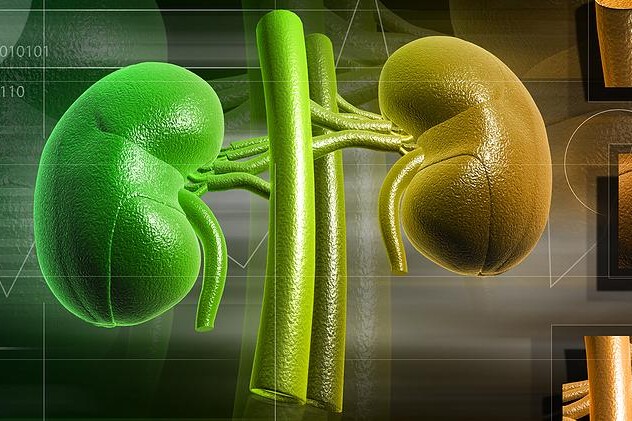 Glomerulonefritida