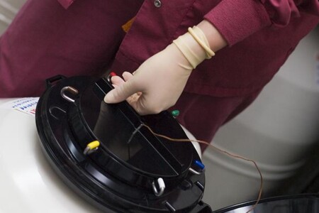 Dárcovství embryí