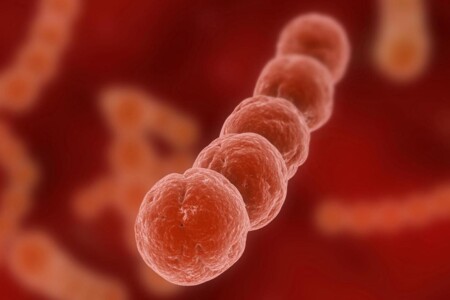 Streptokoková infekce u dětí