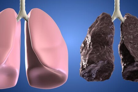 Jak se starat o plíce?