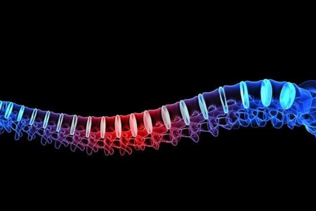 Bechtěrevova choroba