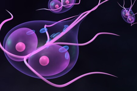 Lamblióza (giardióza) u dětí