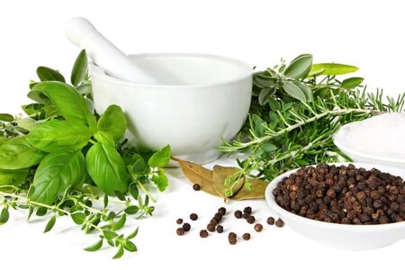 Meduňka, pelyněk a estragon