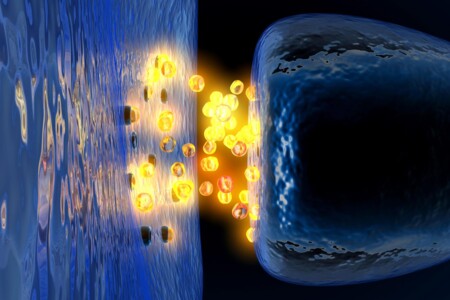 Autonomní nervový systém