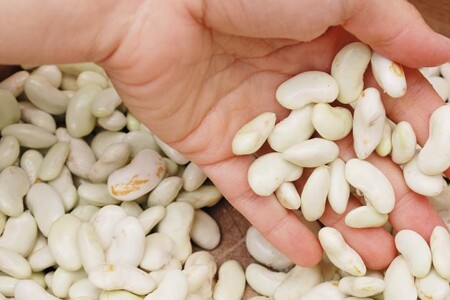 Kyselina pantothenová