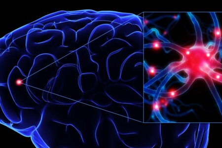 Touretteův syndrom u dětí