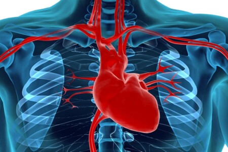 Defekt septa u dětí