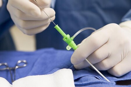 Srdeční vady v dospělosti