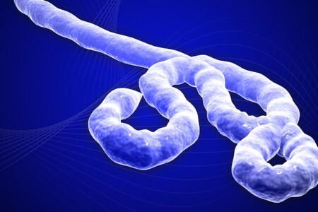 Ebola