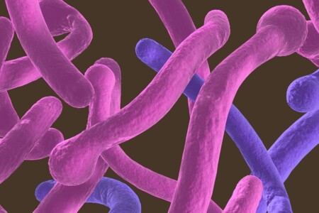 Kvasinkové infekce u dětí