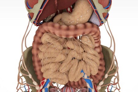 Malabsorpce u dětí